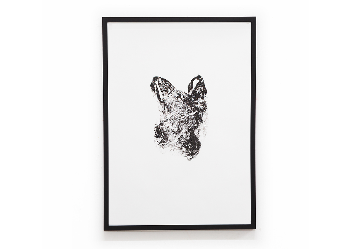 David Blackmore: Carrier #5, 2018