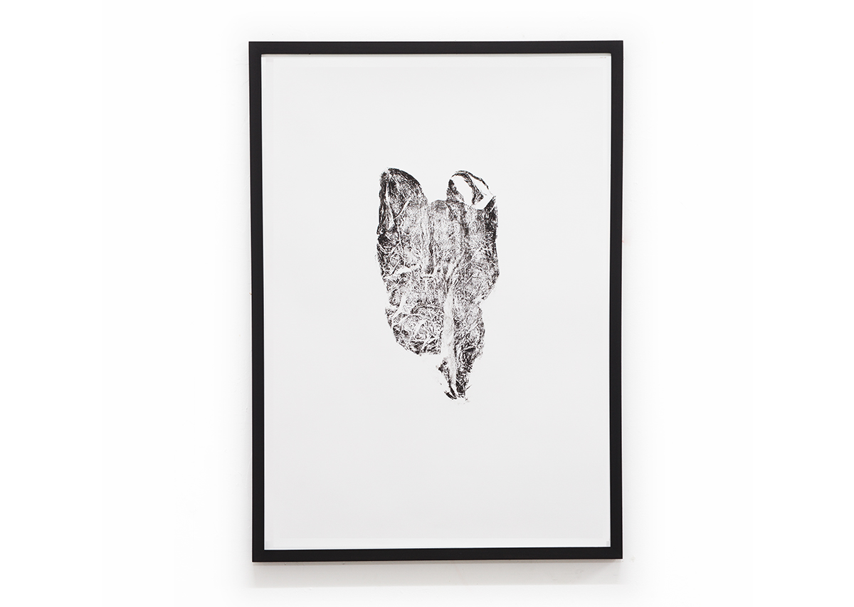 David Blackmore: Carrier #7, 2018