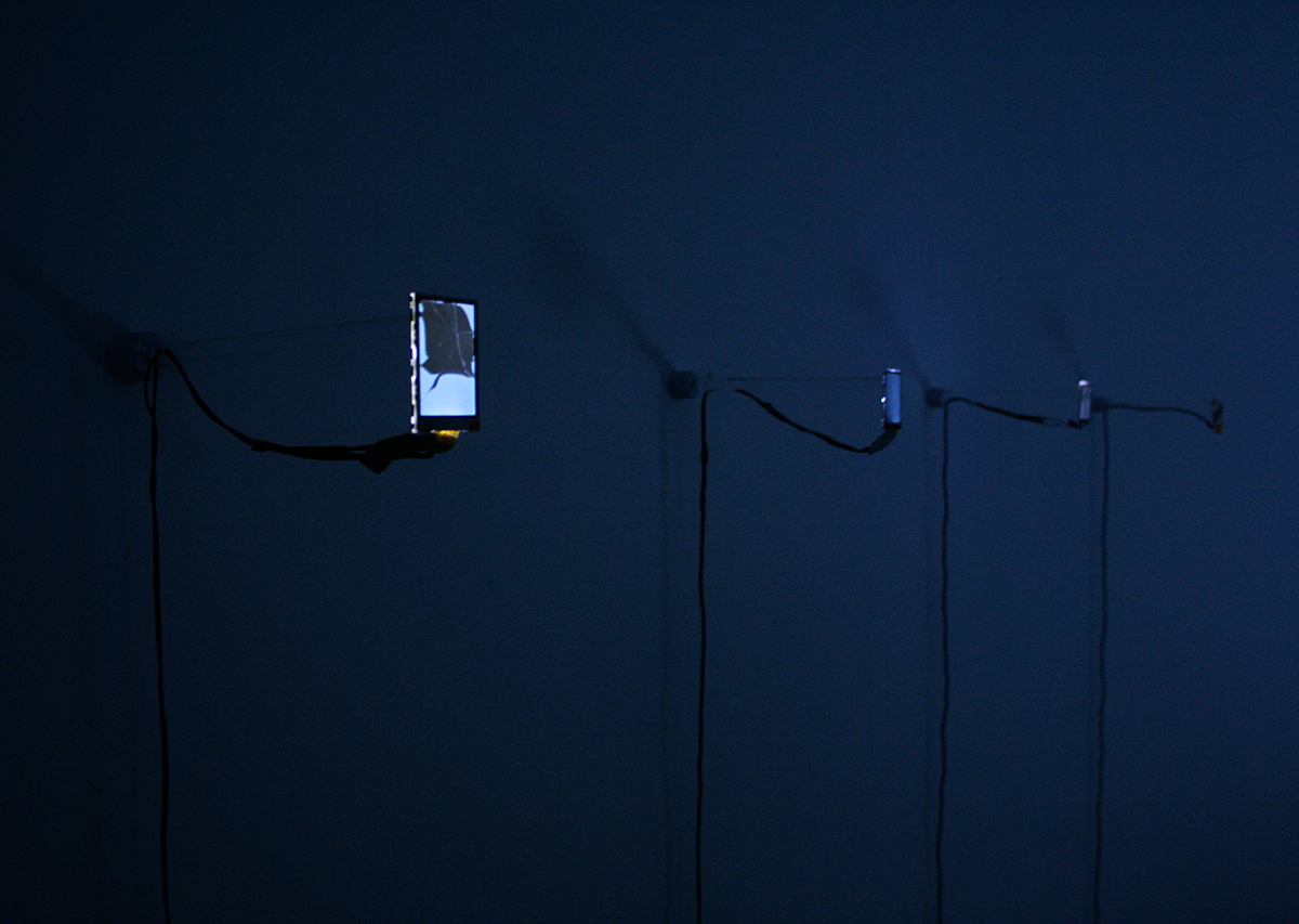 David Blackmore: Installation view Liquid Crystal Displays Pixxelpoint 10, Nova Gorica, SVN