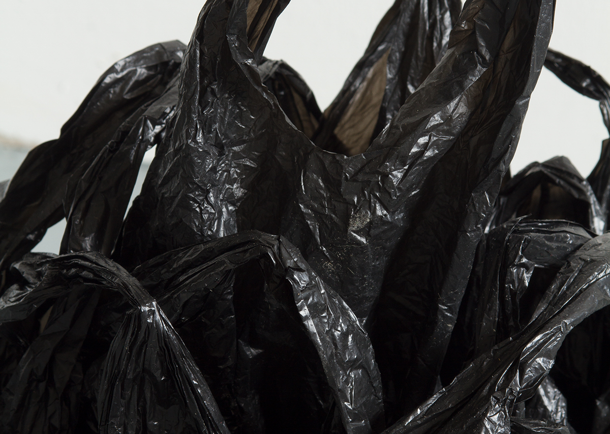 David Blackmore: Carrier #4, 2020