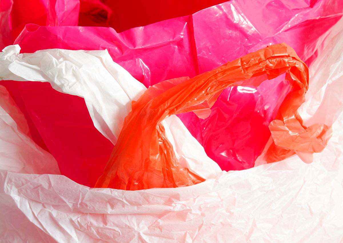 David Blackmore: Carrier #8, 2020