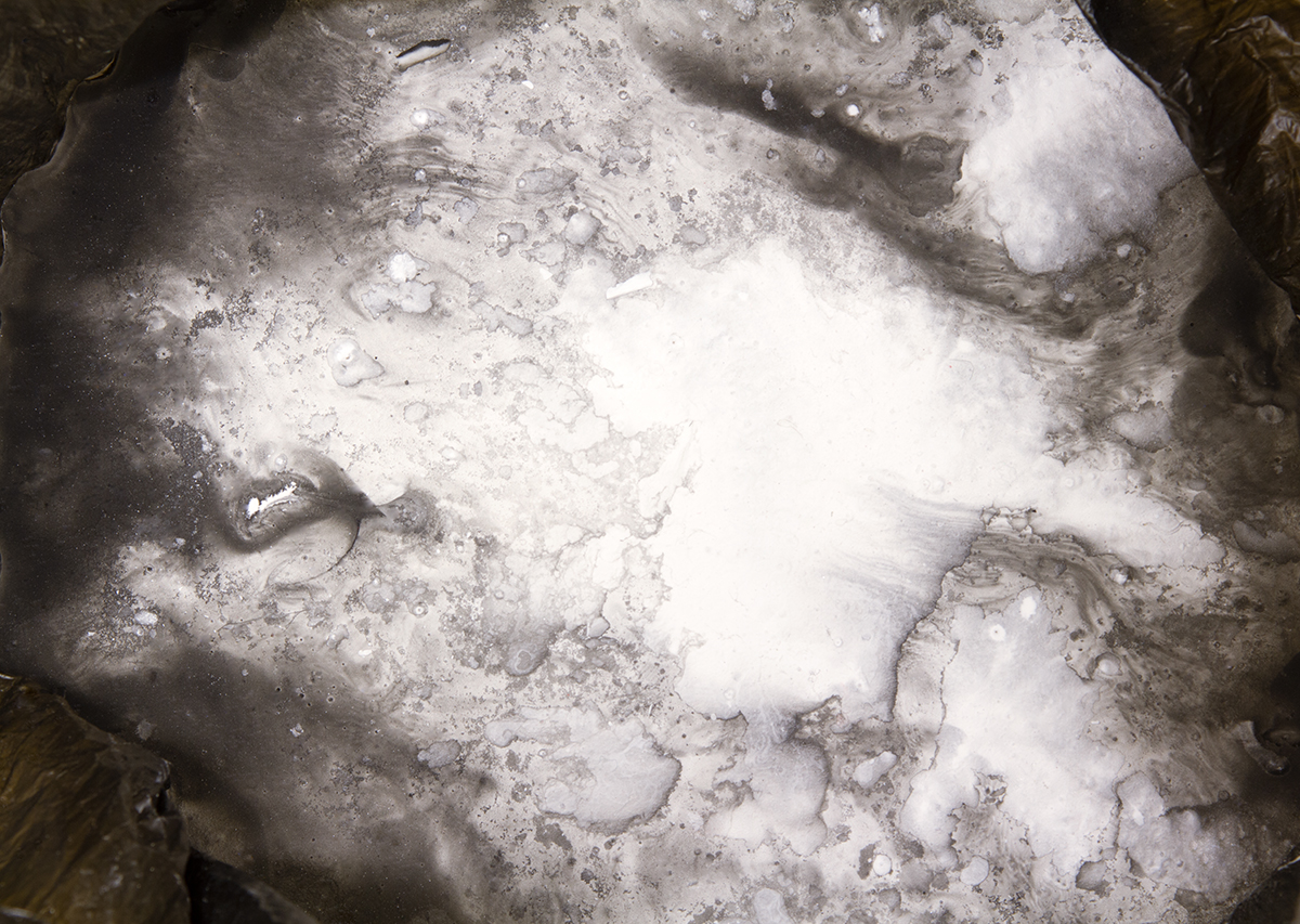 David Blackmore: Carrier #4, 2020