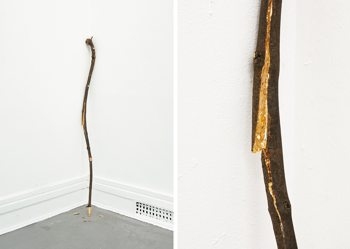 David Blackmore: A stick to beat yourself with, 2015)